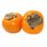 Kaki Bio