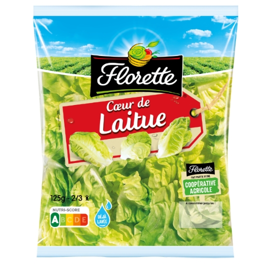 Laitue FLORETTE