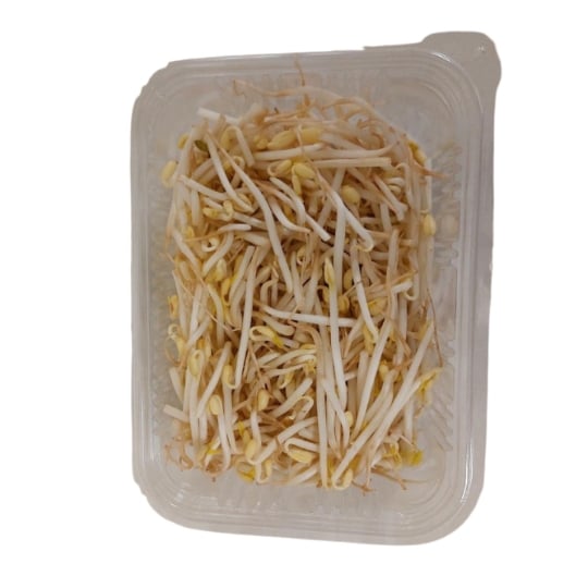 Germe d'Haricot Mungo LA BARQUETTE DE 200G