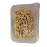Germe d'Haricot Mungo LA BARQUETTE DE 200G