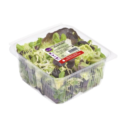 Salade de Saisons Caillaou Frais VOIE VERTE