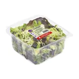 Salade de Saisons Caillaou Frais VOIE VERTE
