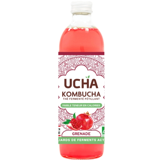 Thé Fermenté Pétillant Saveur Grenade Bio KOMBUCHA