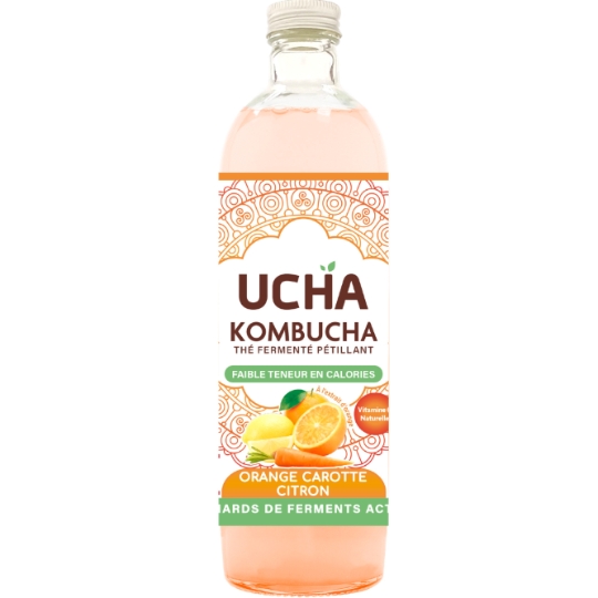Kombucha Orange Carotte Citron UCHA