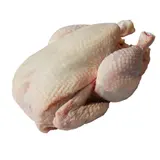 Poulet Bien Etre Animal SANS MARQUE