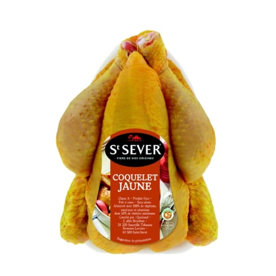 Coq : Coquelets Jaunes ST SEVER