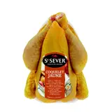 Coq : Coquelets Jaunes ST SEVER