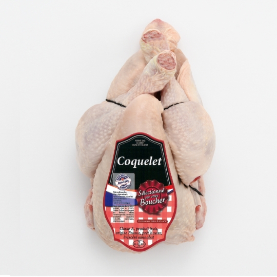 Coquelet Blanc SELECTION DU BOUCHER