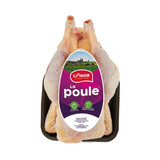 Poule LIONOR