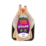 Poule LIONOR
