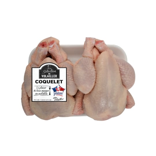 Coquelet Blanc SELECTION DU VOLAILLER