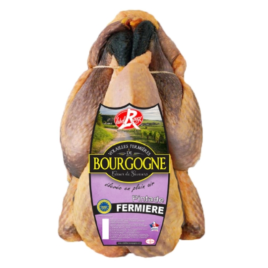 Pintade Fermière label Rouge Élevée en Plein Air VOLAILLES FERMIERES DE BOURGOGNE