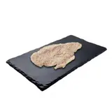Escalope de Dinde Panée