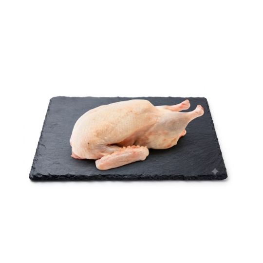 Canard Fermier