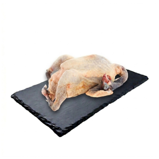 Pintade Effilée