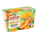 Dessert Fruitier Morceaux d'Abricot ANDROS