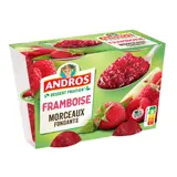 Dessert Fruitier Framboise ANDROS