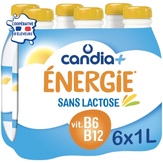 Lait Sans Lactose Énergie CANDIA