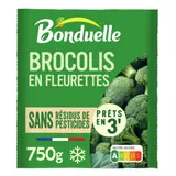 Brocoli en fleurettes sans résidu de pesticides BONDUELLE