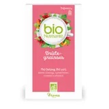 Infusion Brûle Graisse Thé Vert Guarana Maté Bio NUTRISANTE