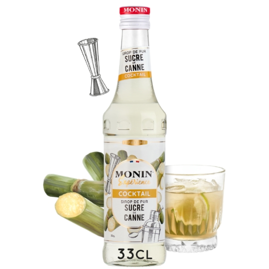 Sirop au sucre de canne MONIN