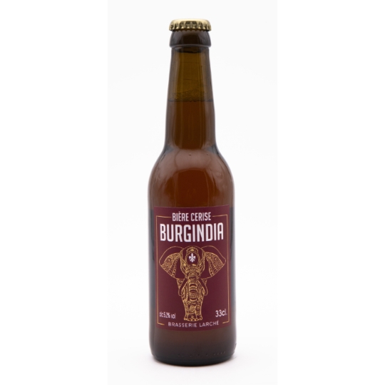 Bière Aromatisée Cerise 5,2% BURGINDIA