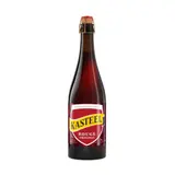 Bière Aromatisée aux Fruits Rouges 8% KASTEEL