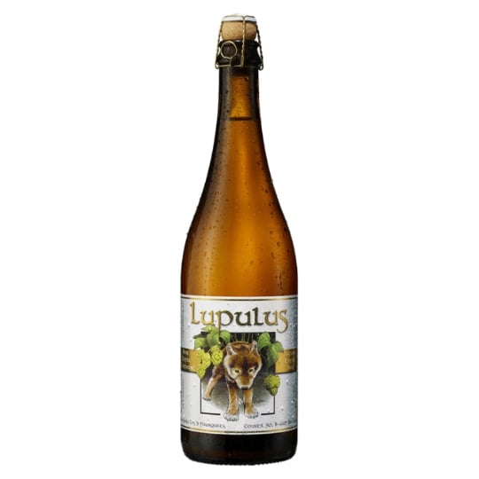 Bière Blonde 8,5% LUPULUS