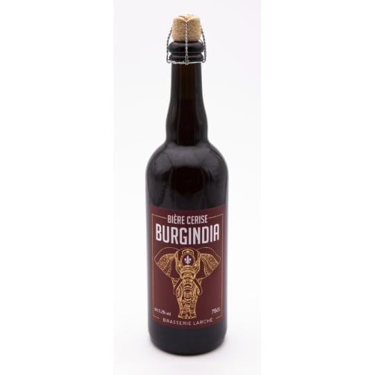 Bière Aromatisée Cerise 5,2% BURGINDIA