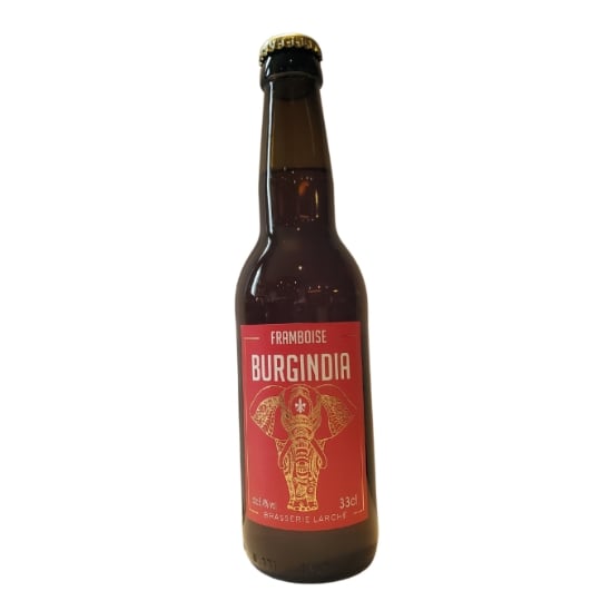 Bière Aromatisée Framboise 5.4% BURGINDIA