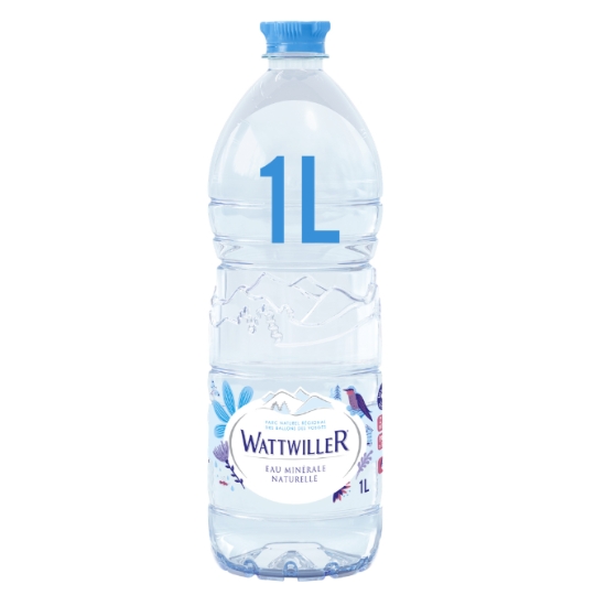 Eau Minérale Naturelle Plate WATTWILLER