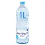 Eau Minérale Naturelle Plate WATTWILLER