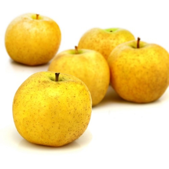 Pommes Chanteclerc Bio