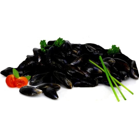 Moules Bio MAREDOC