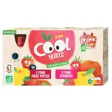 Compote 6 Pomme Fraise Myrtylle et 6 Pomme Framboise Cool Fruits VITABIO