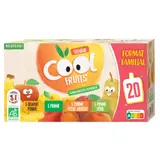 Compote Bio Multiparfuns Format Familiale 4 recettes (Pomme/Poire/Abricot/Banane) VITABIO