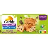 Cake Pépites Chocolat Sans Gluten GERBLE