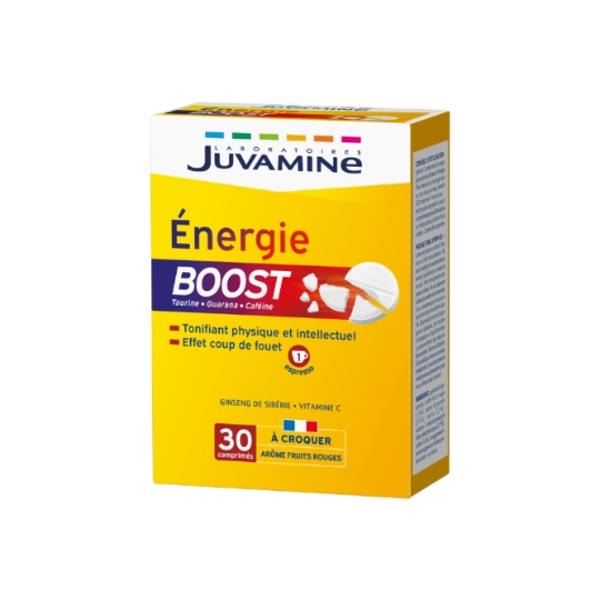 Complément Alimentaire Energie Boost arôme Fruits Rouges JUVAMINE
