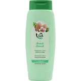 Shampoing Doux 2 En 1 pour Cheveux tous types Amande CARREFOUR SOFT