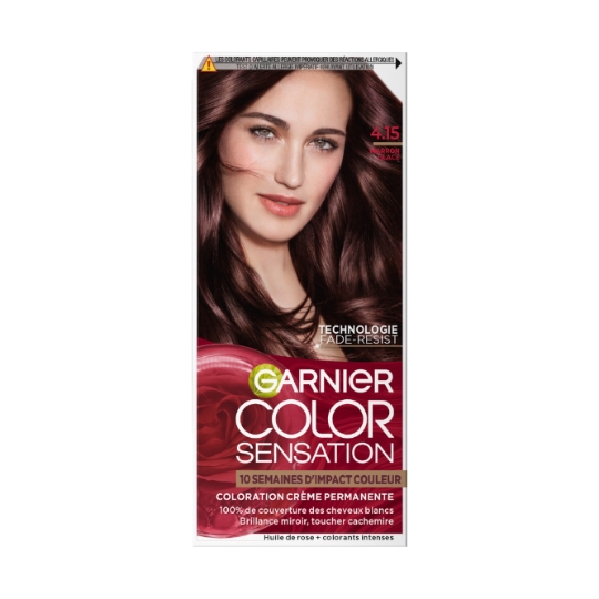 Coloration Cheveux  Marron Glacé 4,15 GARNIER