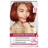 Coloration 5.6 Châtain Clair Auburn Excellence Crème L'OREAL PARIS