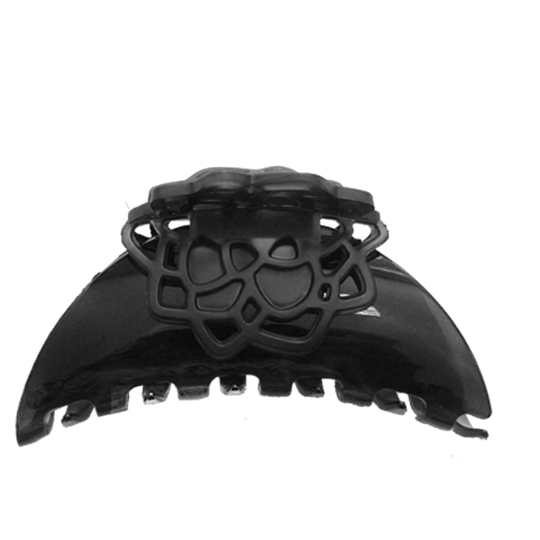 Pince à Cheveux Noire DESSANGE