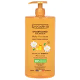 Shampoing Sublimateur pour Cheveux secs Huile Précieuse EVOLUDERM