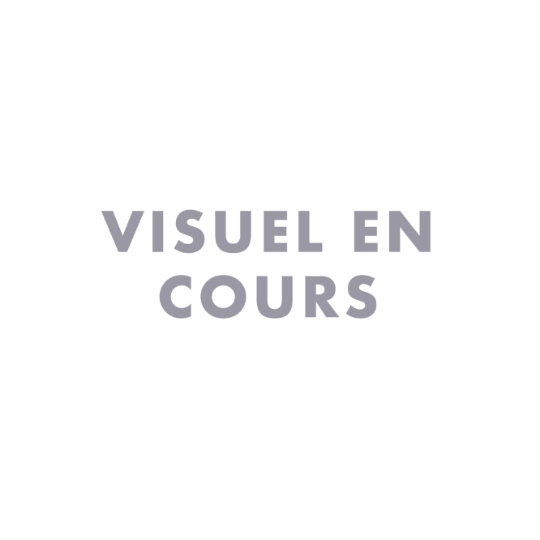 Pinces à Cheveux Clic-clac FRANCK PROVOST