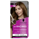 Coloration Permanente R2 Châtain Doré Couvre 100% des Cheveux Blancs Kit Racines SCHWARZKOPF