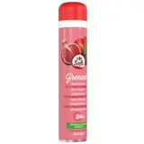 Déodorant spray Efficacité 24h anti-traces grenade CARREFOUR SOFT