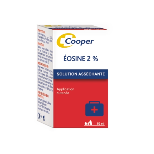 Désinfectant Solution Asséchante 2% COOPER