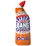 Gel WC Ultra Détartrant Ultra Rapide Expert CILLIT BANG
