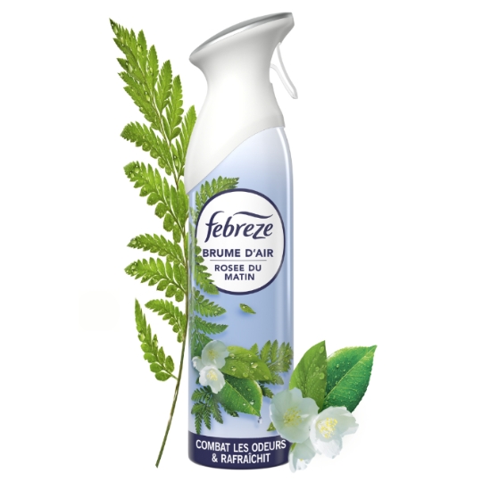 Désodorisant Spray Rosée du matin Brume d'air FEBREZE