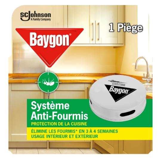 Anti-Fourmis Piège Contaminateur Intérieur et Extérieur BAYGON